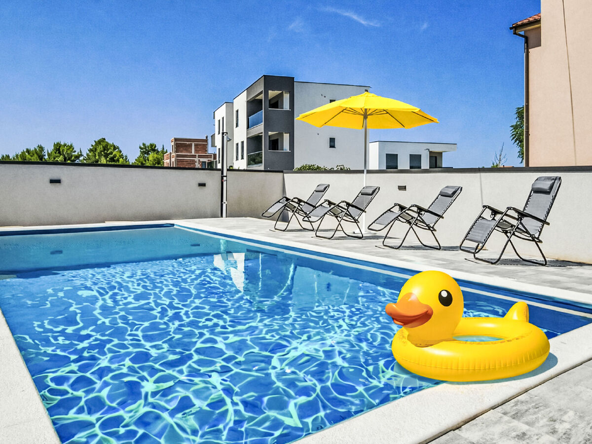 Maison Jurica à Vrsi avec piscine privée 8 x 4 m - Photo 3