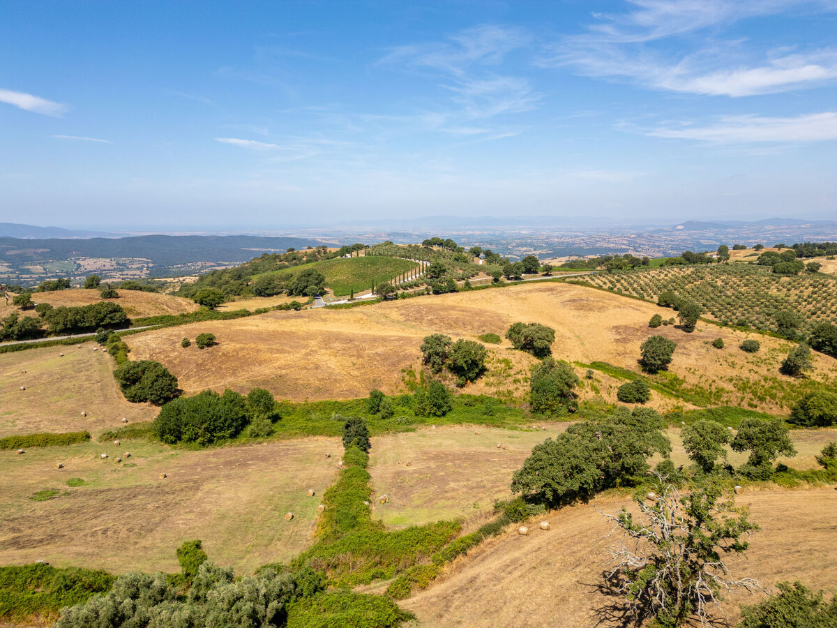 La terrazza sulla Maremma – Maison 6 pers. Scansano - Photo 7