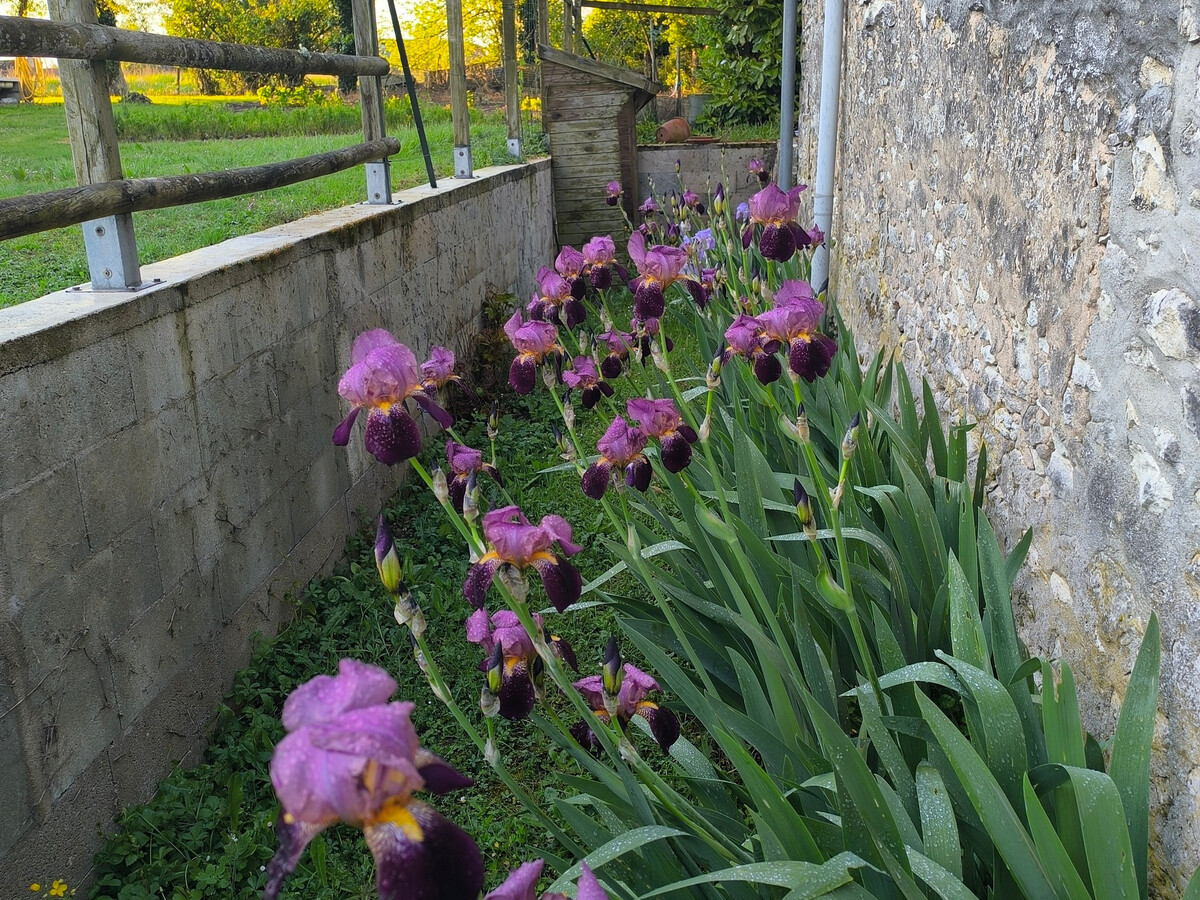 Gîte rural 3 personnes avec jardin clos à Mézières-en-Brenne - Photo 22
