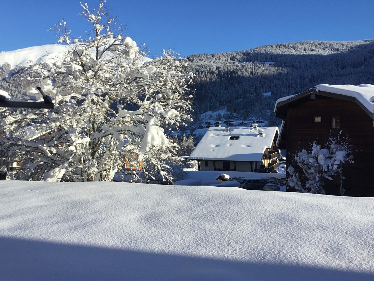Appartement 3 pièces Morzine, 10 min Pleney, parking - Photo 14
