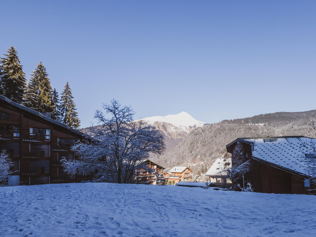Appartement 3 pièces Morzine, 10 min Pleney, parking - Photo 15