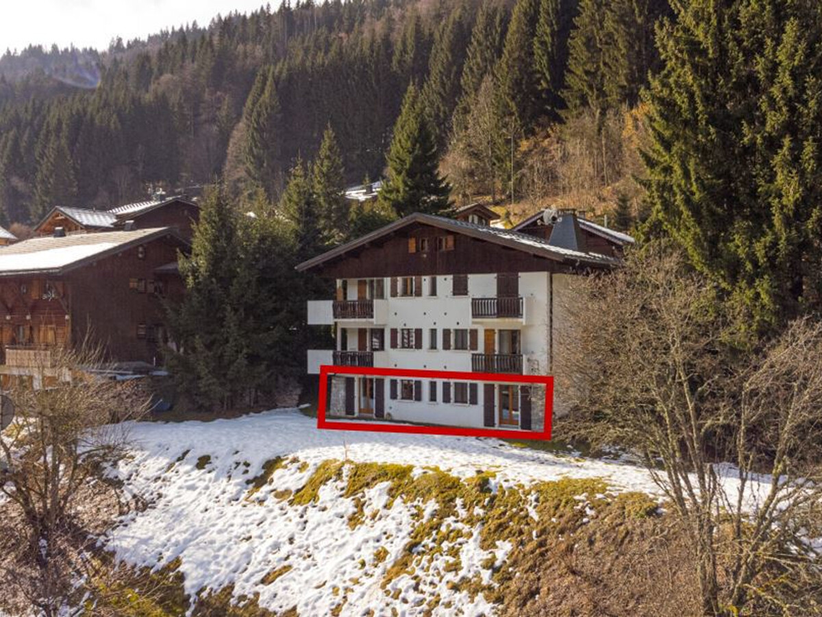 Appartement 3 pièces Morzine, 10 min Pleney, parking - Photo 17