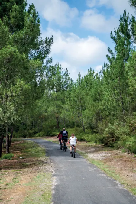 Studio Les Cavales à Maubuisson, 5,5 km de la mer - Photo 25