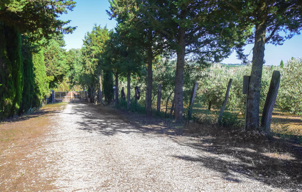 Appartement 6 personnes à Magliano in Toscana - Photo 33