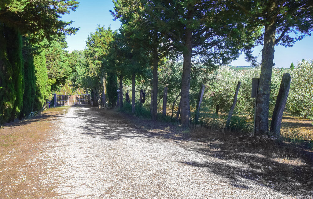 Appartement 6 personnes à Magliano in Toscana - Photo 33