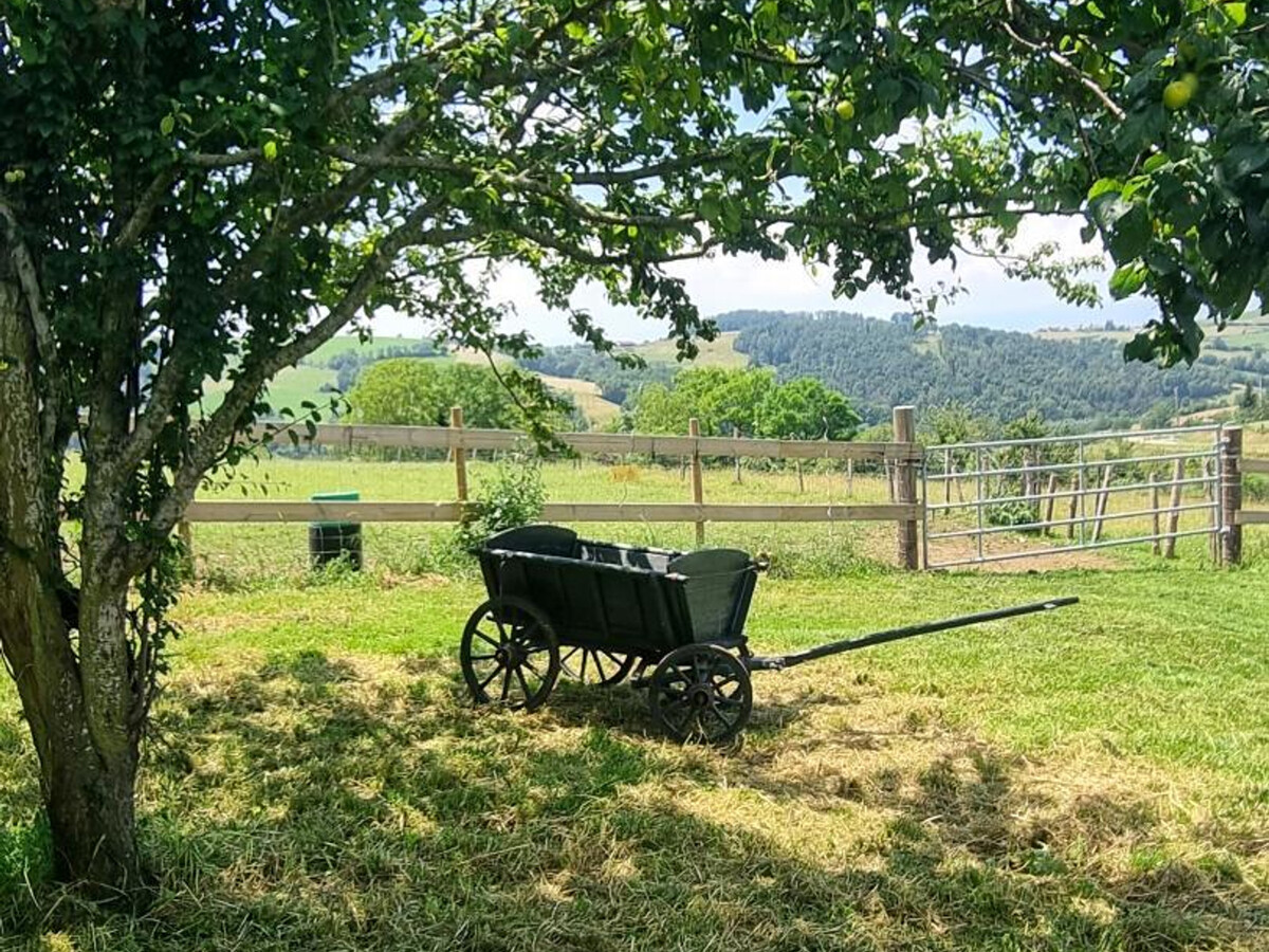 Gîte 15 pers. avec terrasse près de l'élevage de poneys - Photo 34