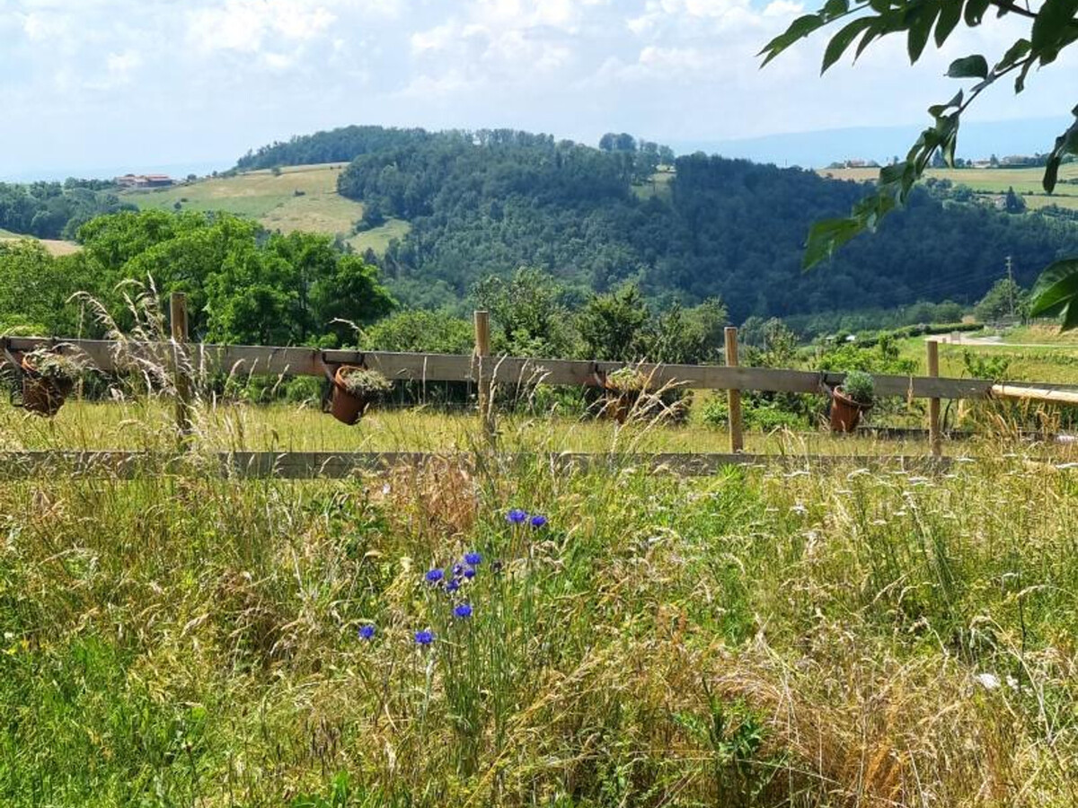 Gîte 15 pers. avec terrasse près de l'élevage de poneys - Photo 35