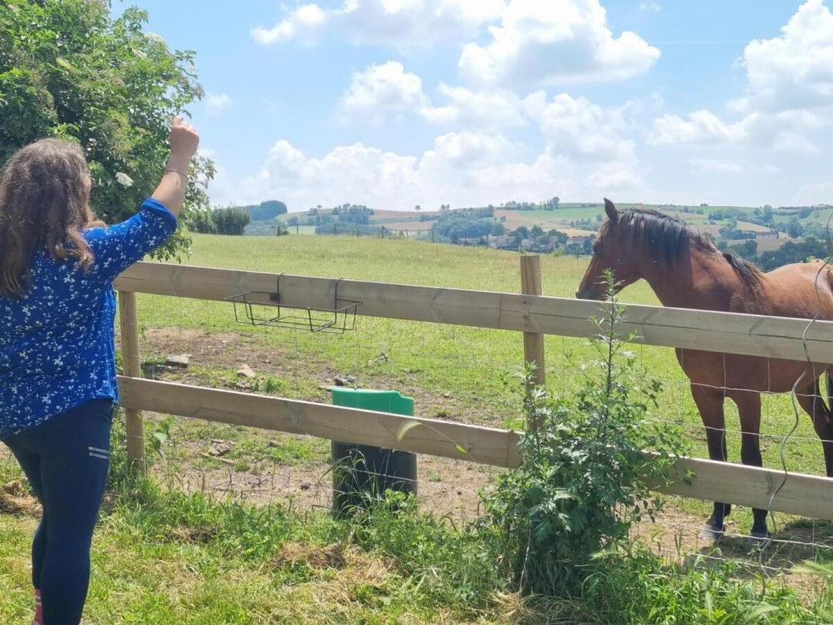 Gîte 15 pers. avec terrasse près de l'élevage de poneys - Photo 36