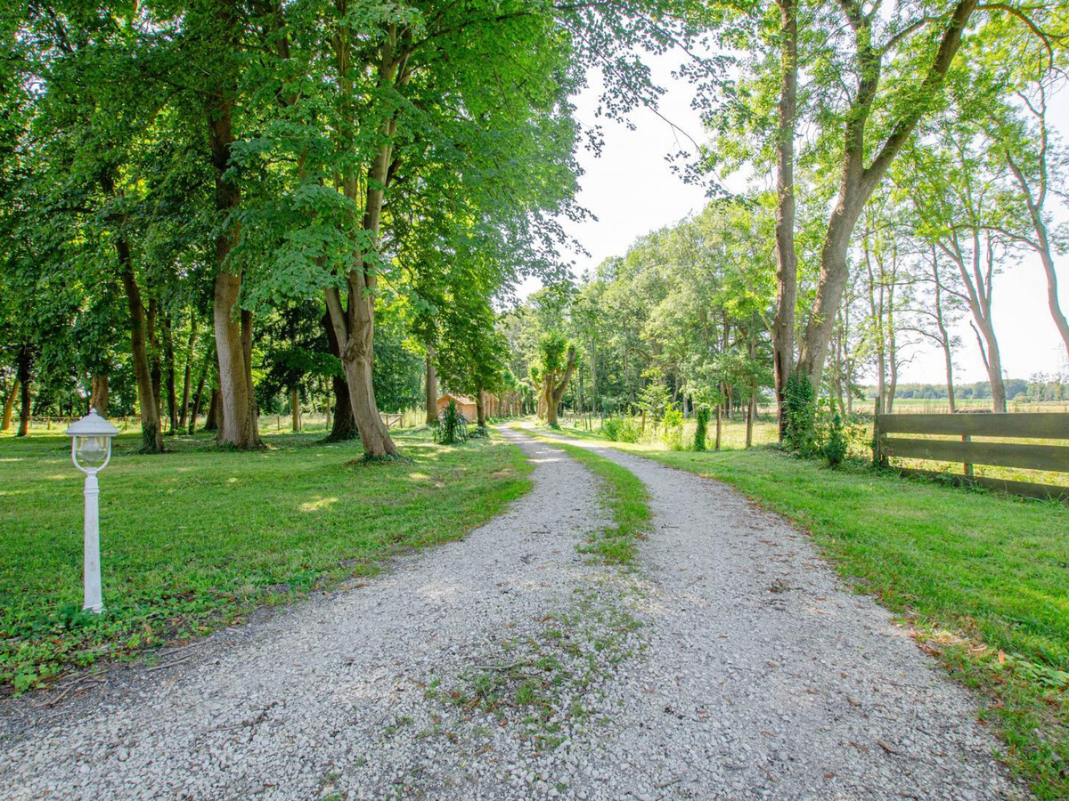 Gîte familial 15 pers., parc 2 ha et étang à Montiéramey - Photo 31