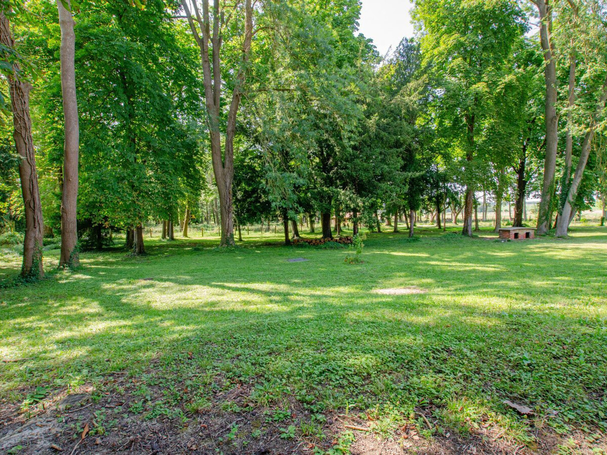 Gîte familial 15 pers., parc 2 ha et étang à Montiéramey - Photo 33