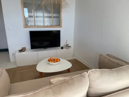 Appartement rénové et climatisé avec terrasse à Port Camargue : photo 4