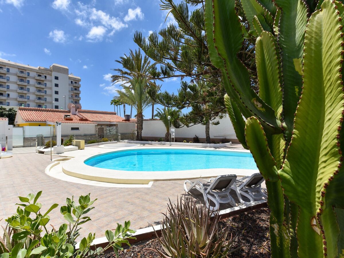 Bungalow 6 pers. Playa del Inglés - Piscine & jardin - Photo 3
