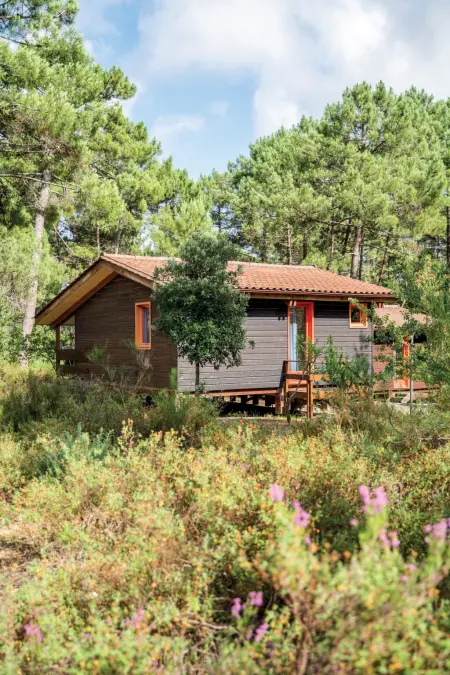 Les Sentes, Maison 3 personnes à Maubuisson - Photo 2