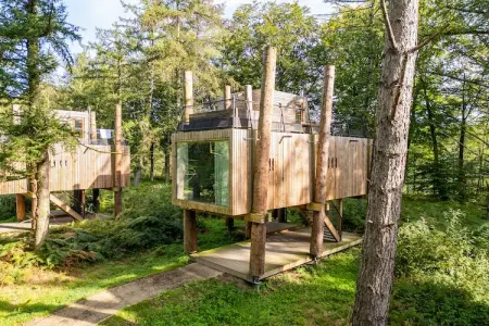 Location maison à antoing, Retraite de luxe dans une cabane dans les arbres