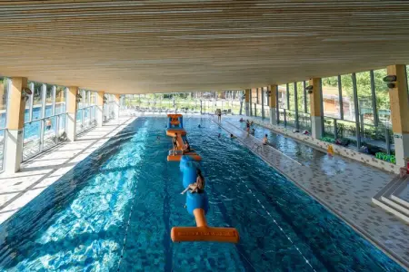 Location gite à Antoing, Séjour Tranquillité à la Cime des Arbres
