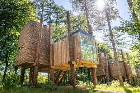 The TreeLoft by YourNature, Retraite chic avec sauna - Photo 6