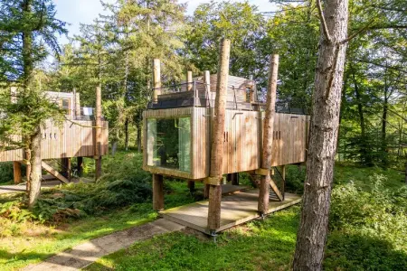 The TreeLoft by YourNature, Retraite chic avec sauna - Photo 11