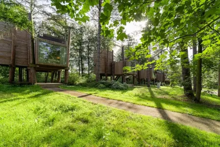 The TreeLoft by YourNature, Retraite chic avec sauna - Photo 20