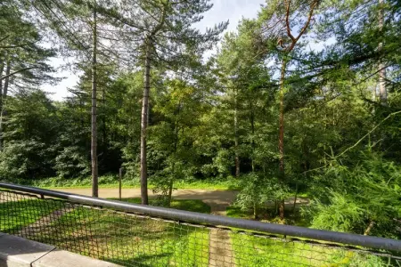 The TreeLoft by YourNature, Retraite chic avec sauna - Photo 21