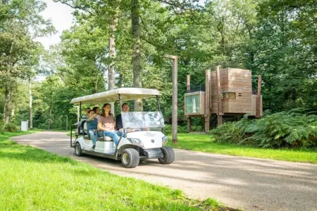 The TreeLoft by YourNature, Retraite chic avec sauna - Photo 37