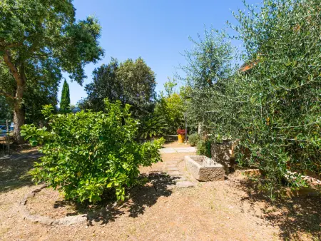 Oliveta 1, Maison 8 personnes à Cecina - Photo 45