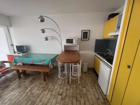 Studio-cabine avec terrasse et jardin à Port Camargue, animaux admis : photo 4