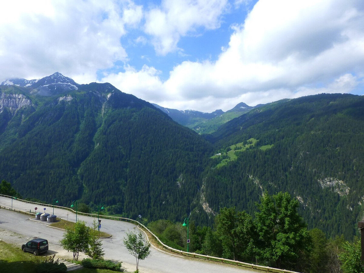 Spacieux appart 2 pièces pour 9 personnes avec terrasse à Plan Peisey - Photo 9