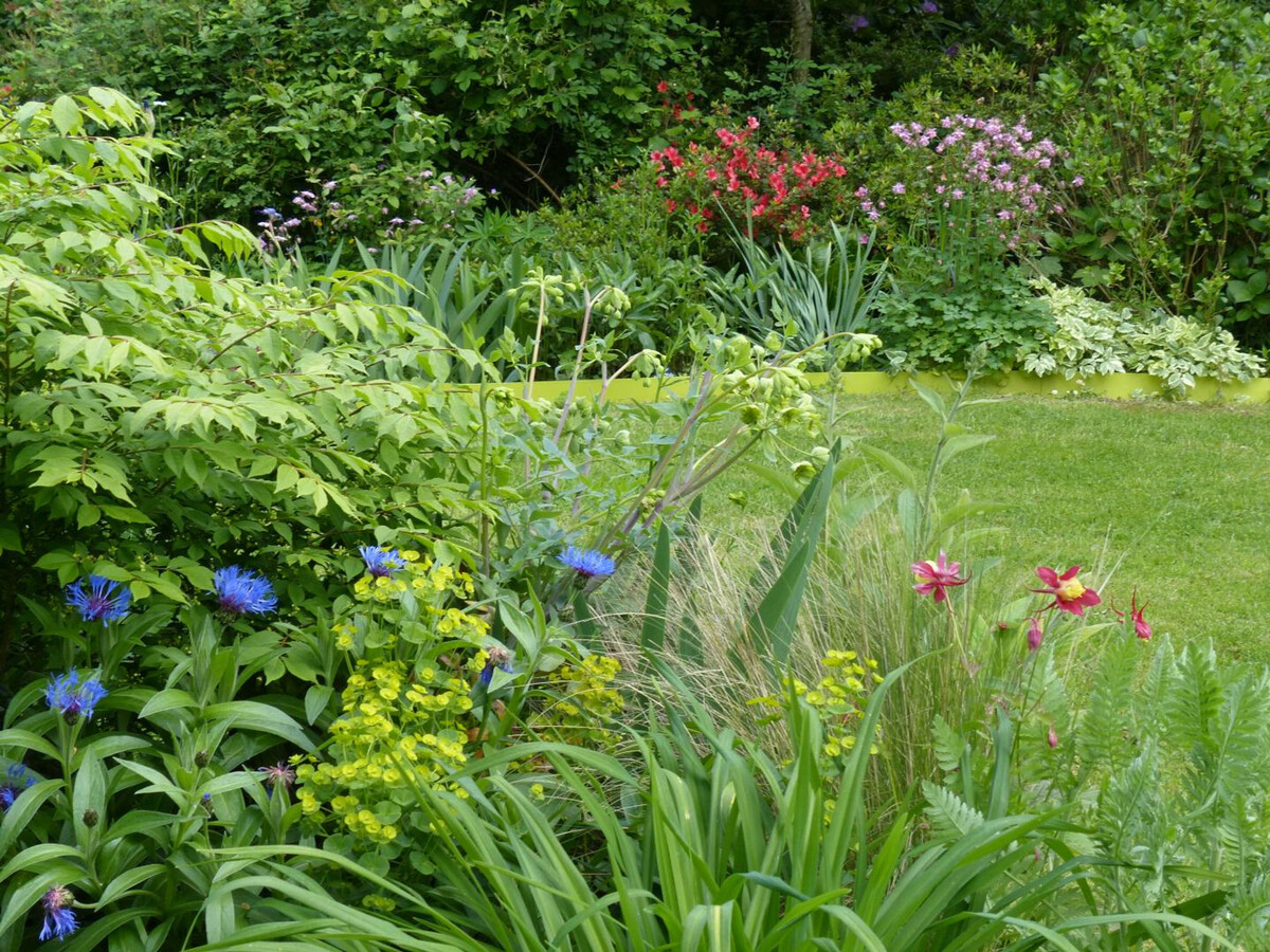 Gîte normand 1780 avec jardin fleuri à Sainte-Opportune - Photo 22
