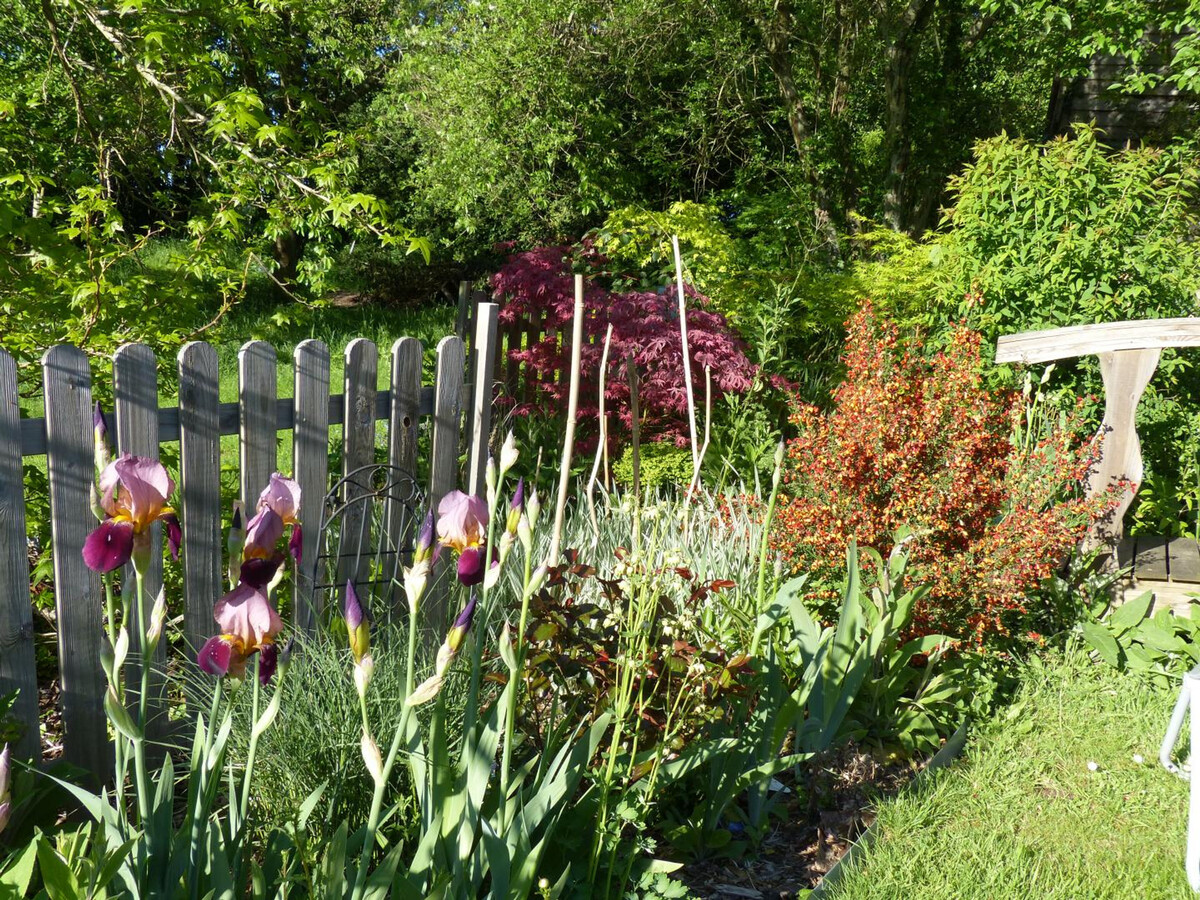 Gîte normand 1780 avec jardin fleuri à Sainte-Opportune - Photo 26