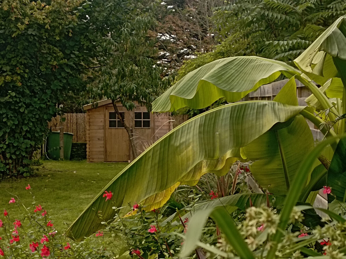 Gîte 6 pers. à Assérac, jardin 200 m², près marais salants - Photo 8