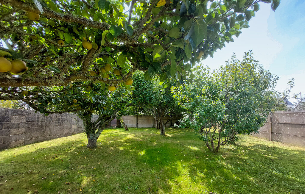 Maison 3 chambres avec jardin privatif à Riantec - Photo 9