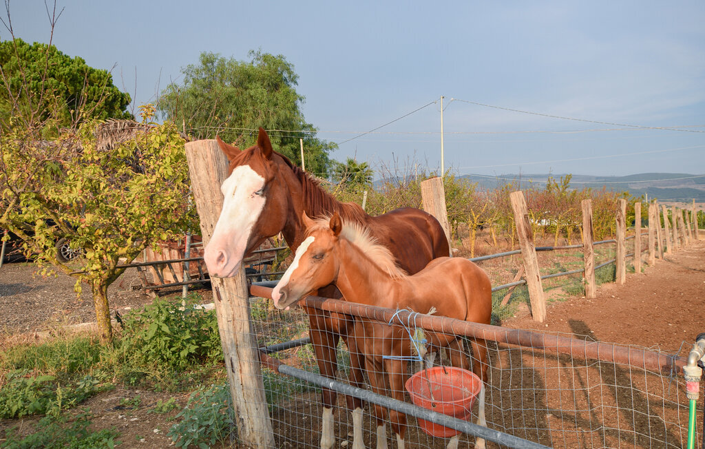 Maison 8 personnes à Chiaramonte Gulfi - Photo 17