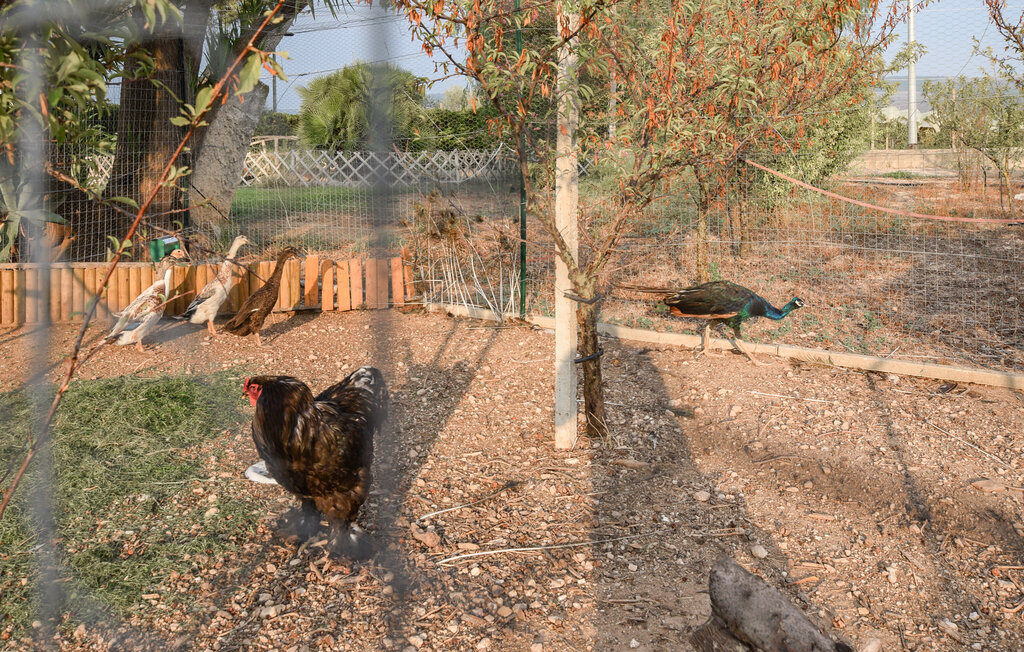 Maison 8 personnes à Chiaramonte Gulfi - Photo 18