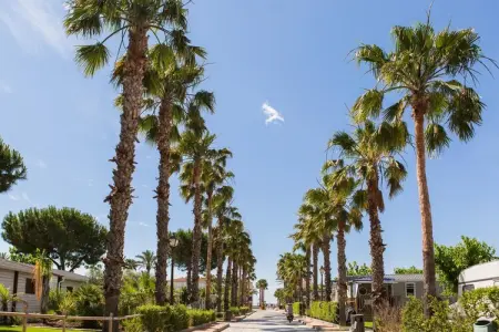 CAMPING ESTIVAL VENDRELL PLATJA MOBILE HOME 4/5, Escapade de charme avec jardin - Photo 23