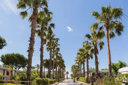 Bungalow 36 m² pour 4-5 personnes à Cambrils : photo 20