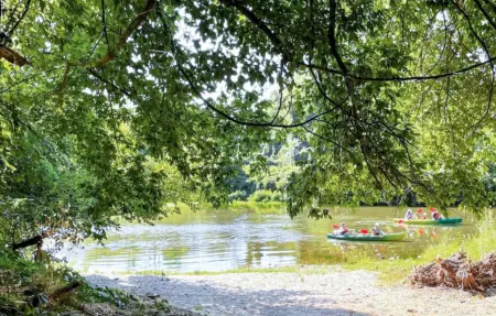 Château du 19e siècle avec piscine à Saint-Ambroix : photo 45