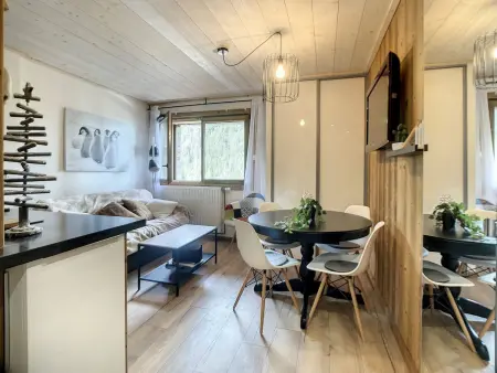 Appartement rénové 2 pièces proche pistes pour 4/6 pers : photo 4