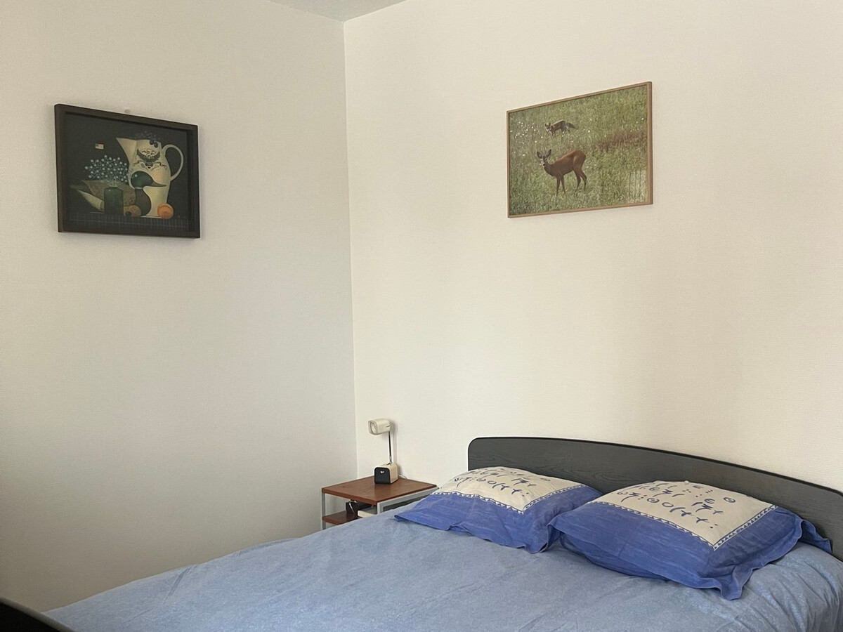 Appartement 3 pièces rénové, vue 360° montagnes - Photo 9