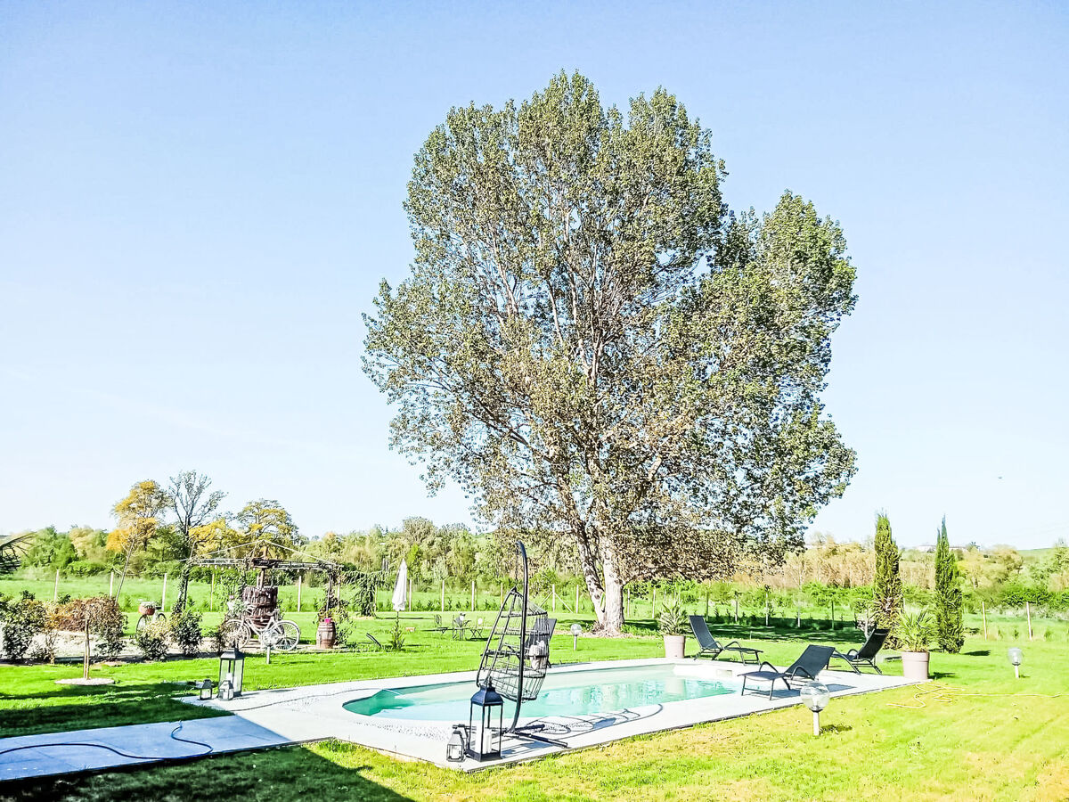 Tenuta Beatrice – Appartement 8 pers. avec piscine - Photo 26