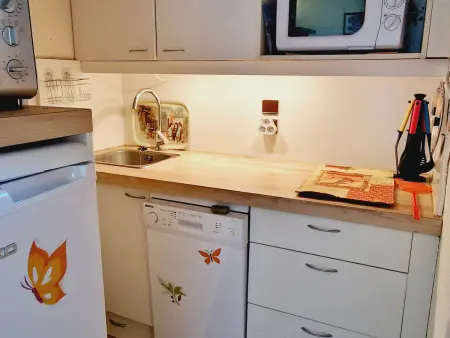 T2 26 m² avec terrasse plein sud, 200 m des pistes : photo 6