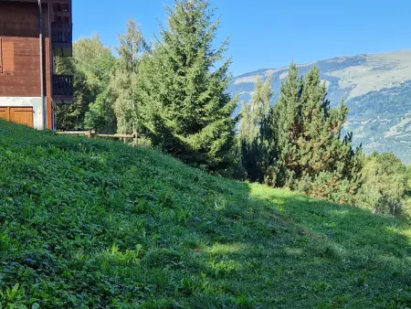 T2 26 m² avec terrasse plein sud, 200 m des pistes : photo 7