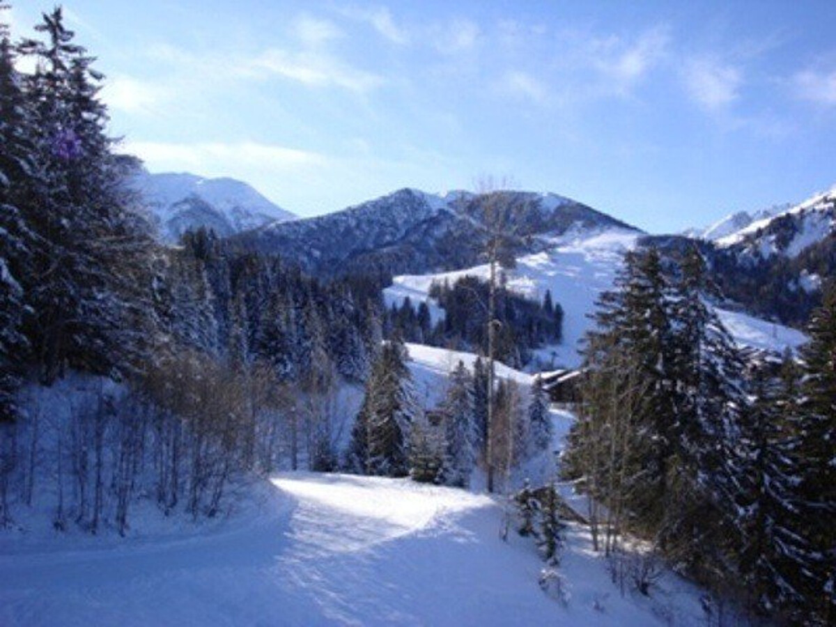 Crève Coeur, 2 pièces à 20m des pistes - Photo 12
