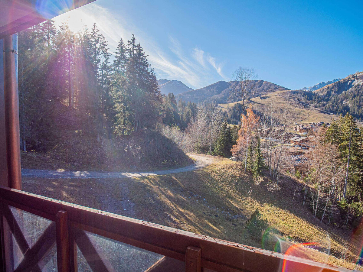 Crève Coeur, 2 pièces à 20m des pistes - Photo 13