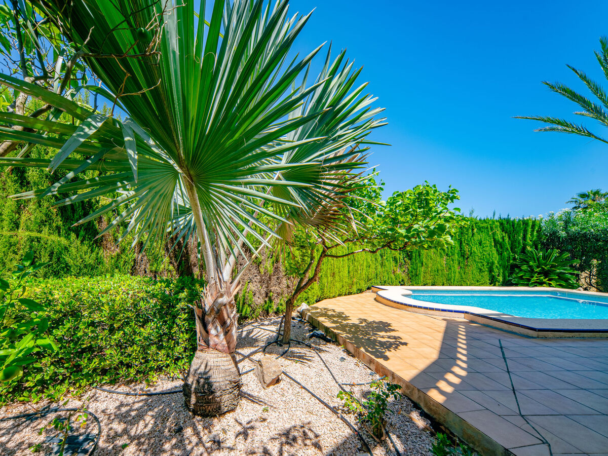 Villa Marques, 6 personnes, piscine et vue mer à Dénia - Photo 47