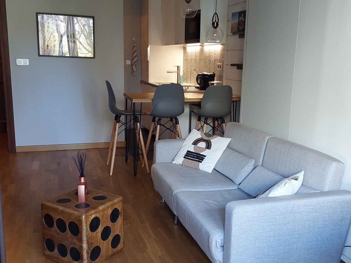 Studio rénové 26m² vue Aiguille des Drus à Chamonix - Photo 1