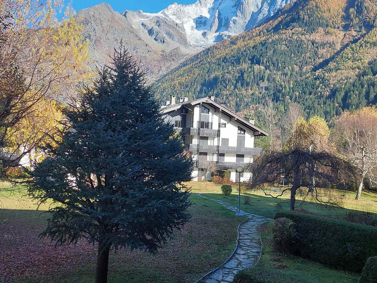 Studio rénové 26m² vue Aiguille des Drus à Chamonix - Photo 9