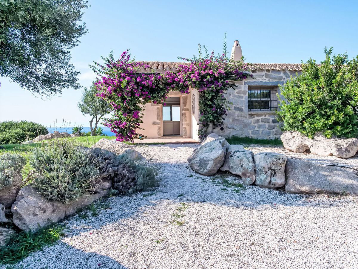 Stazzo Serafini – Gîte 6 pers. vue mer à Rena Majore - Photo 44