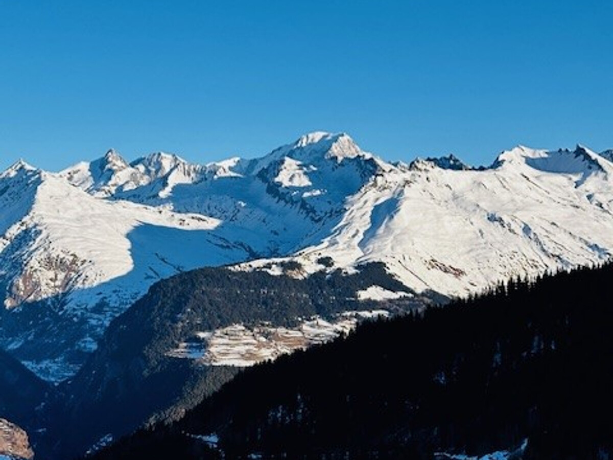 3 pièces ski aux pieds, balcon vue Mont-Blanc, piscine - Photo 12