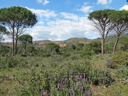 Les Domaines de St. Endréol, Maison 10 personnes à La Motte en Provence - Photo 25