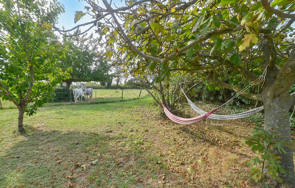 Ferme avec piscine privée pour 12 personnes à Arles - Photo 18